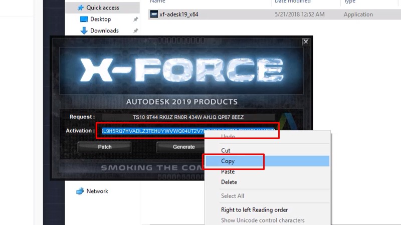 Tải AutoCad 2019: Cài Đặt Thành Công Rất Dễ 29 Copy Activaton như hình